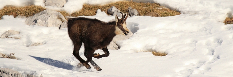 foto Giordano Santini